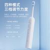 Waterproof Electric Toothbrush with Replacement Heads and USB Charging
