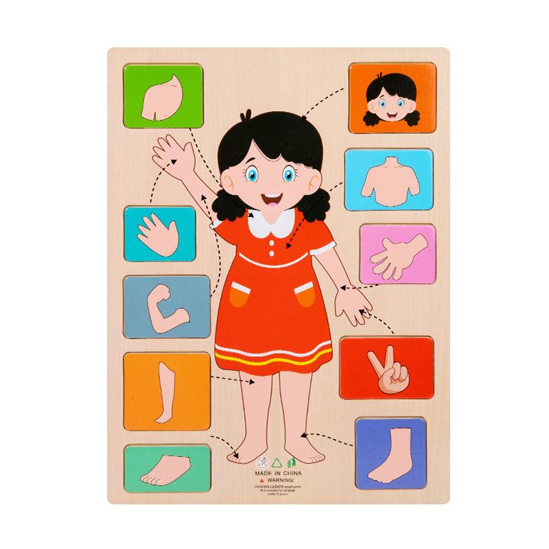 Montessori Human Body Parts Structure Wooden Puzzles Toys Parish Organs Cognitive Open Learning Educational Toys Matching Game
