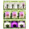 Adjustable Bracket Plant Lamp Telescopic Grow Light with Timer Height Adjustable Full Spectrum Led Grow Light with for Indoor