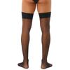 Mens Glossy Stretchy Stockings Sheer Thin Thigh High Socks Costume Accessories