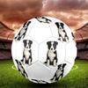 Cute Puppy Indoor Size 5 Soccer Ball Colorful Machine Stitched PVC Competition Ready Durable High-Bounce