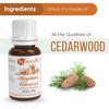 Naturalis Essence of Nature Himalayan Cedarwood Essential Oil for Skin, Hair and Aromatherapy - 15ml