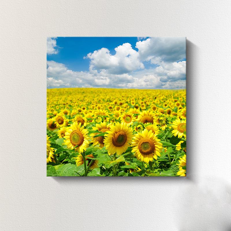 Moderne Sonnenblumen-Leinwandmalerei, nordische Landschaft, HD-Bilder, Blumenplakate und -drucke, Wandkunst, Bilder, Wanddekoration, kein Rahmen