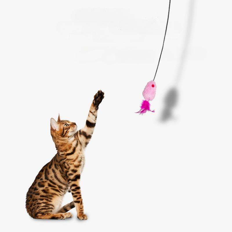 

Игрушка-тизер для домашних животных, кошек, имитация мыши, имитация крика, подвесная игрушка-тизер для кошек, износостойкая игрушка из фетра