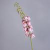 Bell Shaped Artificial Yucca Stem Plastic Realistic Touch Yucca Flower Branch Tall Stem Silk-like Bell Orchid Stem