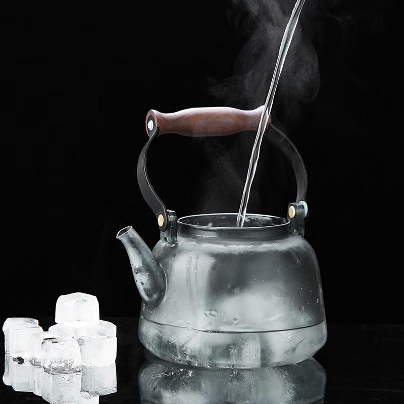 Mesni Glass Steam & Boil Teapot