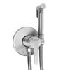 Brushed Nickel Bidet Faucet Concealed Bidet Mat Ontario