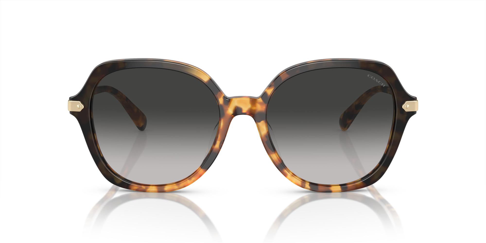 

Coach Sunglasses HC8377U CL925 HONEY TORTOISE BLACK GRADIENT 55 Women s