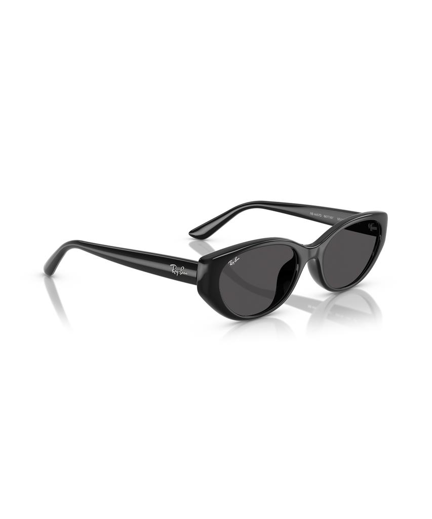 Leibaen Rb4457D Sunglasses - 667787 / 0Rb4457D667787