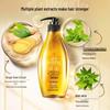 Ziyuan Ginger Strong Root Strengthening Silicone-Free Shampoo