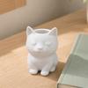 Cat Pen Holder, Cute Kitty Desk Organizer for Stationery Storage, Large Capacity Pencil Stand for Office Home, Creative Storage Box Gift