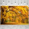 2D Plane, 1 Piece of Vibrant Autumn Tree Background, Suitable for Home and Garden Decoration, Parties and Events