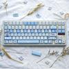Feather Collection Wear-Resistant PBT Dye-Sublimation Retro Keycaps for Cross Stem, Original Height, High-End DIY.