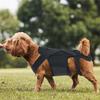 Comfortable Black Dog Back Support Vest Breathable Reusable Pet Orthopedic Support Brace Adjustable Dog Chest & Back Bracket Dog