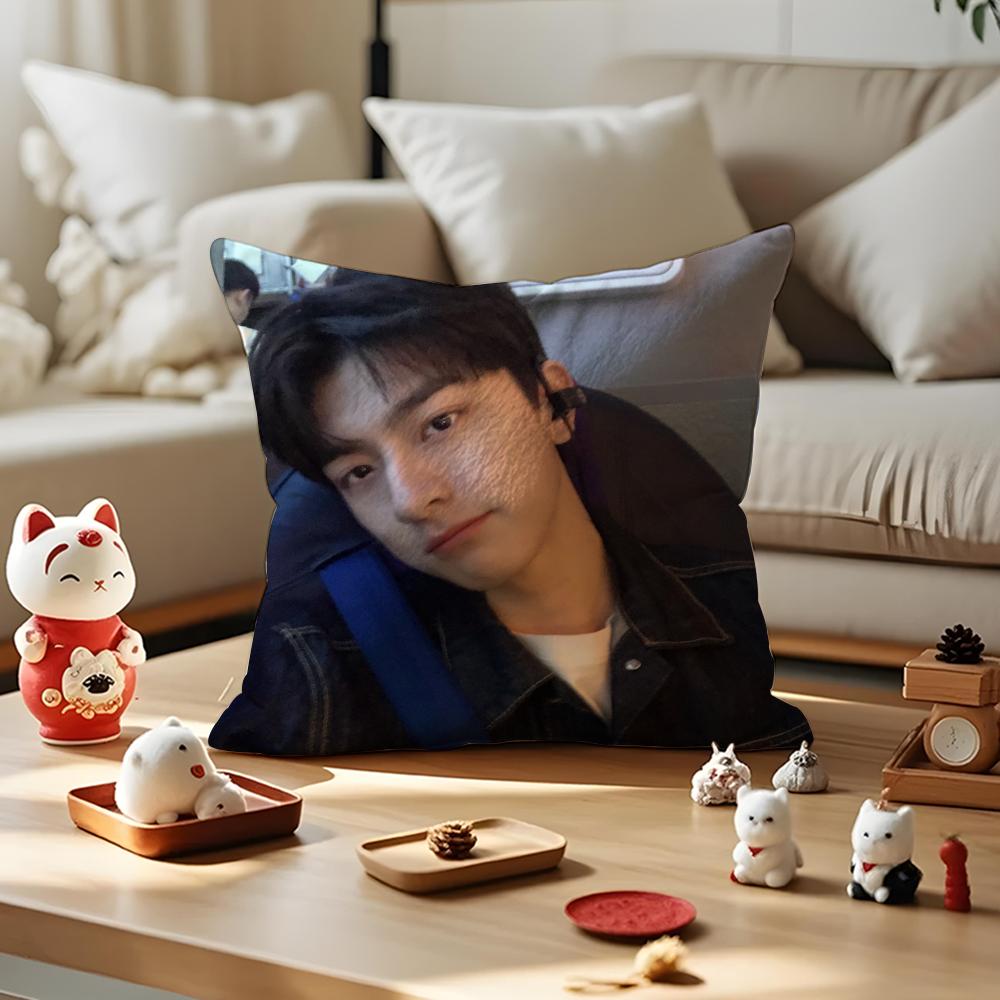LinYi Chinese Actor Cushion Cover Anti-dustmite Pillowcase Invisible Zipper Silky Short Plush Sofa Cushion Cover
