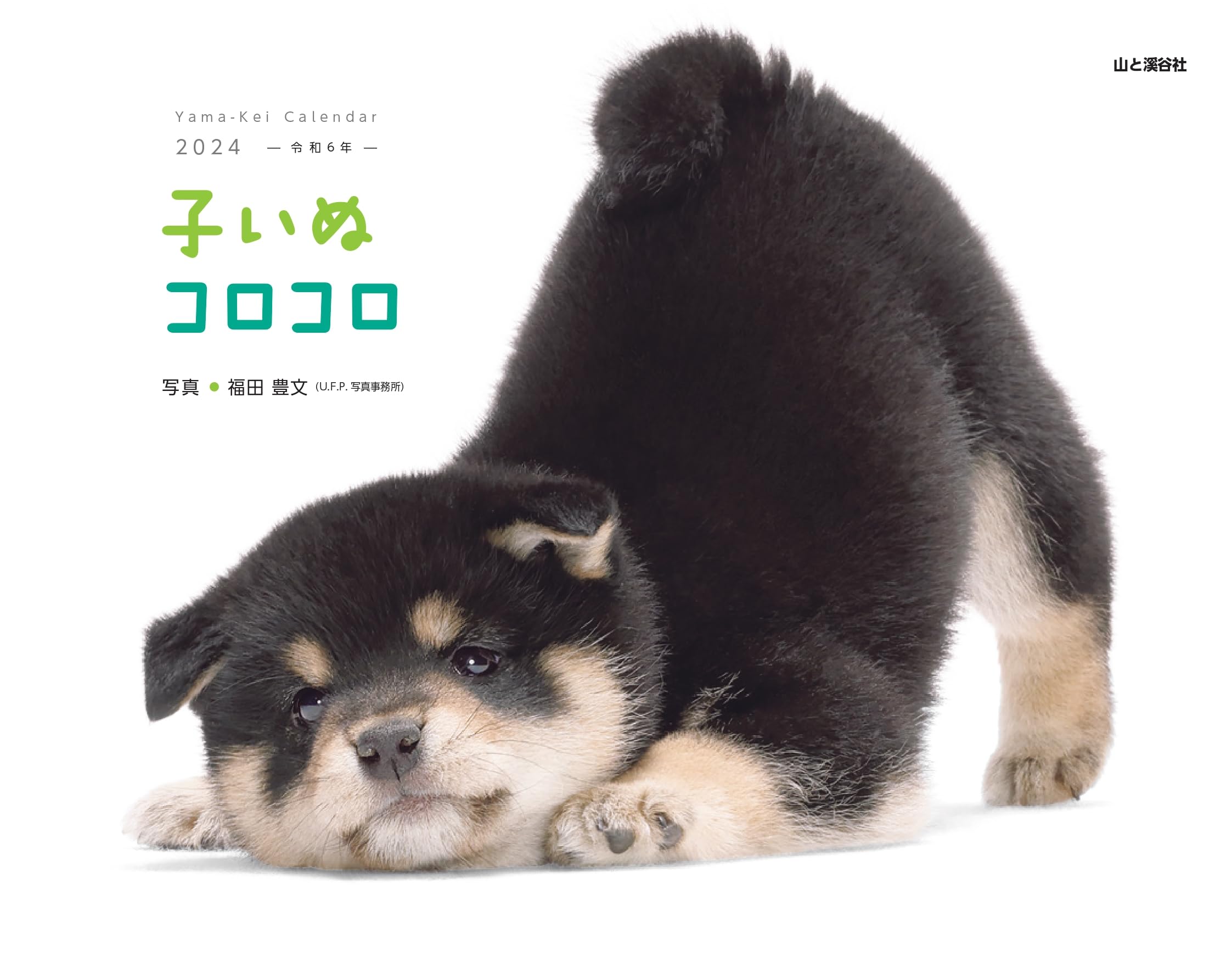 

Calendar 2024 Baby Dog CoroCoro (Month Turn/Wall Hanging) (Yamakei Calendar 2024)