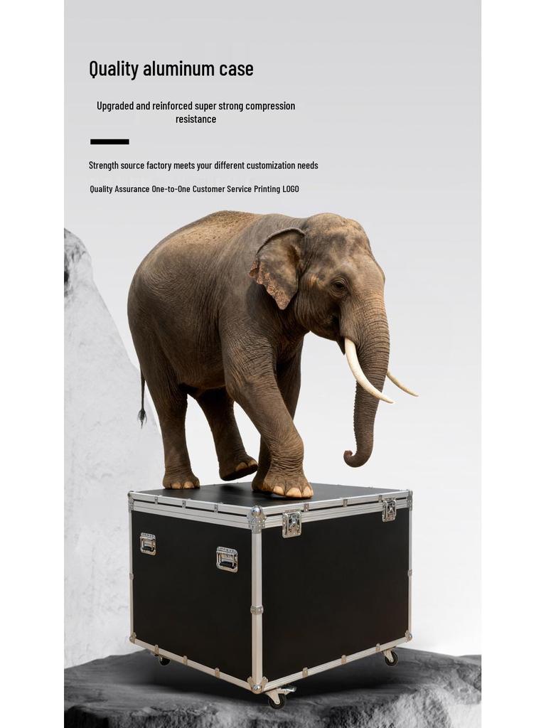 Customized Aluminum Alloy Shockproof Flight Case - Compression-Resistant Instrument Tool Box Trolley