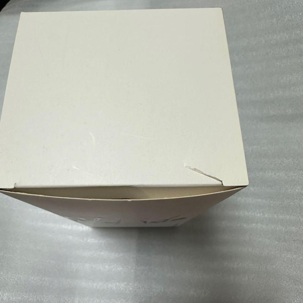 [USED] Stray Kids Penlight Ver.1