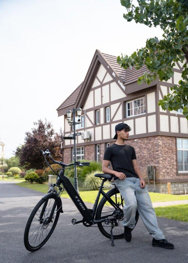 Adult Electric Bicycle TTGO HZ-28ST(C3) 250W Motor 36V20Ah Battery Max Speed 25km/h Max Range 80-120km Shimano 7 Speed City Ebike