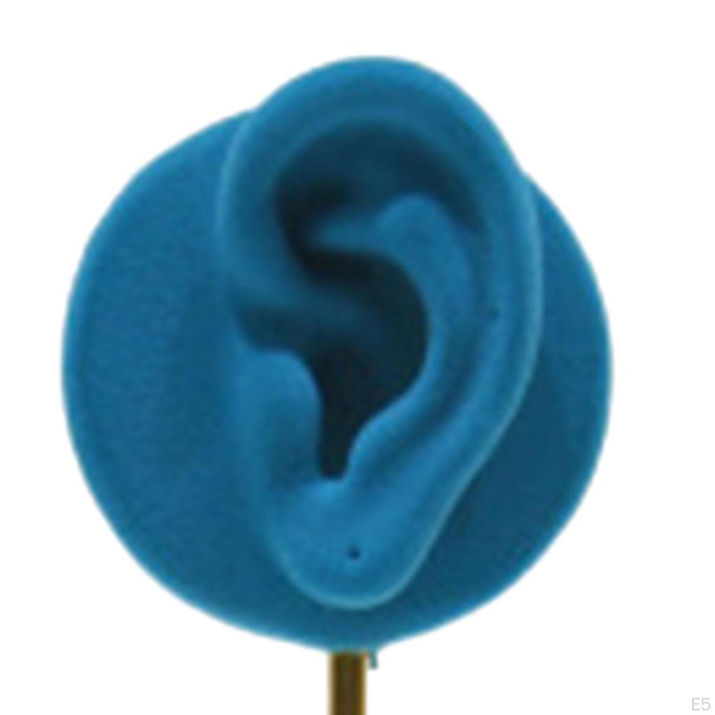 2 ear shaped Stud Holder Round Base Model Photography Prop Gifts Earring Display Stand for