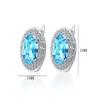 925 Sterling Silver Multi-color Round Crystal Zircon Earrings Anniversary Birthday Wedding Party Gift