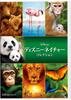 Audio/Video – Filmy