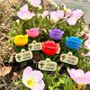 Harz-Insekten-Trinkbecher Bunte Bienen-Trinkstation Bienen-Schmetterlings-Wasserspender Terrasse