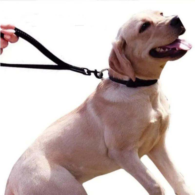 Dog Leash Short Dogs Leash 30cm Nylon Leashes for Large Dog Walking Reflective Waterproof Leash Dogs Traction Rope Pet Chain
