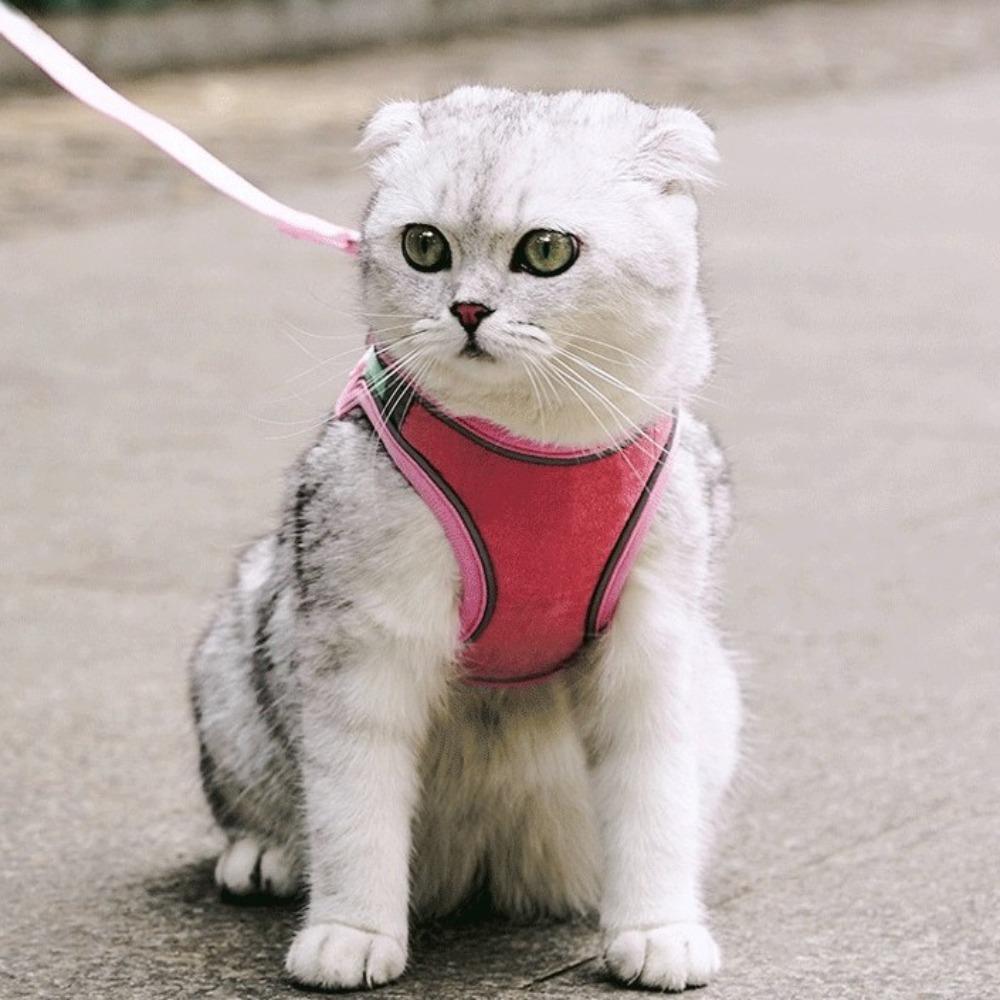 Cat walking artifact traction rope anti-break free vest type night reflective breathable chest strap reflective design