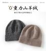 Autumn and Winter New Cashmere Hat Women's Knitted Outdoor Warm Fashion Bag Head Flanged Hat Cold Hat
