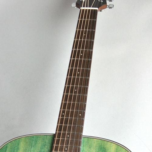 Zemaitis CAG-100HS-E Acoustic-Electric Guitar, Forest Green