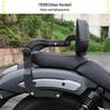 Haojue TR300 PLUS Urban Motorcycle Bumper with Folding Backrest & Side Bag Luggage Rack