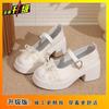 Bow Thick Mary Jane Single Shoes Women's 2025 Summer New Height Increase French Versatile High Heel Small Leather Shoes Women