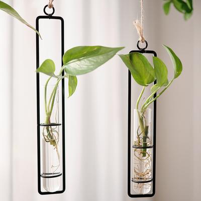 Wall Hanging Glass Vase European Style for Plants Creative Living Room Decor Water Container Pothos Wall Decor 16cm