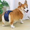 Female Dog Diapers: Sanitary Pants for Menstrual and Anti-Harassment Protection