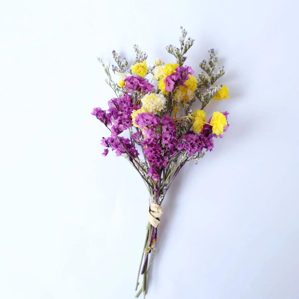 Dried Flower Bouquet High-Quality Fingertip Bouquet Greeting Card Decoration Versatile Diy Flower Kit For Diy Projects Event