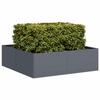 VidaXL Anthracite Planter 100x100x30 Cm Steel 860810