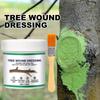 100g Tree Wound Bonsai Cut Paste Smear Agent Pruning Compound Sealer with Brush Dashu Wound Healing Agent Repair Tools