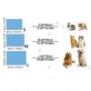 Kennel Liner Nonslip Dog Cooling Pad Breathable Soft Pet Cool Mattress Ice Silk Comfortable Pet Ice Pad Kennel