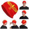 Assyrian Flag Unisex Adult Beanies Caps Knitted Bonnet Hat Warm Hip Hop Autumn Winter Outdoor Skullies Hats