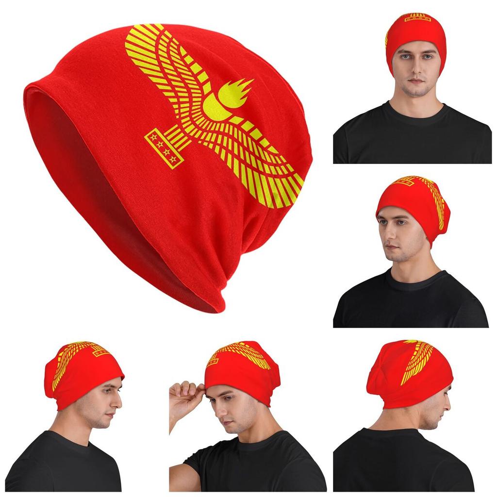 Assyrian Flag Unisex Adult Beanies Caps Knitted Bonnet Hat Warm Hip Hop Autumn Winter Outdoor Skullies Hats