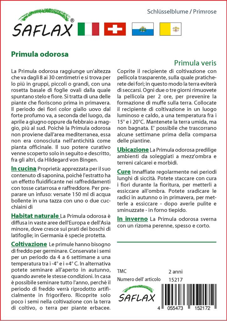 SAFLAX Garden in the Bag - Prvosenka - 100 semen - Se substrátem v přiléhavém sáčku - Primula veris
