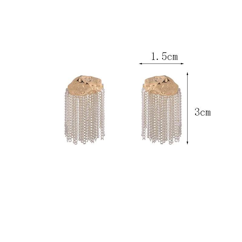 French Luxury Silver White Color Tassel Earrings Women Fashion Silver Needle Earring Jewelry Gifts