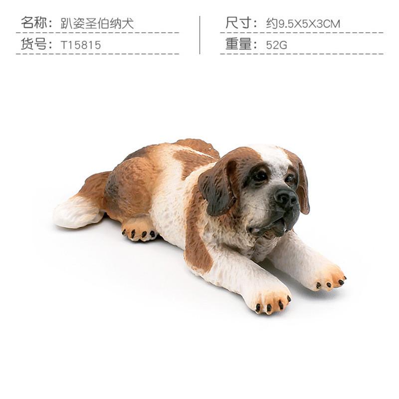 Captivating Golden Retriever Corgi And Saint Bernard Models Perfect For Pet Enthusiasts