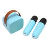 Karaoke Machine Multifunction Stereo Sound Portable   Speaker with 2 Wireless Microphones for Home Party KTV