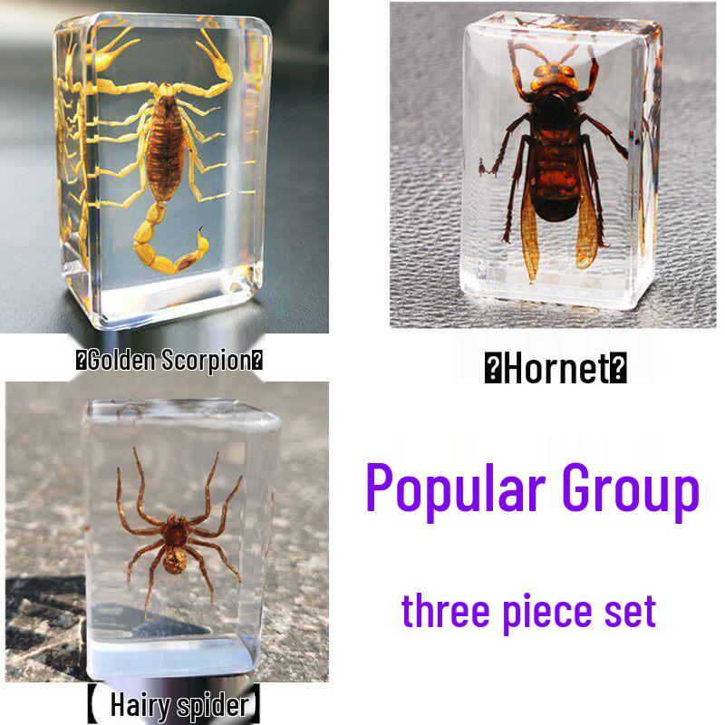 Okazy Owadów: Prawdziwy Pająk, Skorpion, Osa Błotna w Przezroczystej Żywicy do Nauczania i Dekoracji