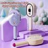 Multi-Function Electric Spray Hair Brush Hair Care 2-In-1 Misting Hair Brush  Gift
