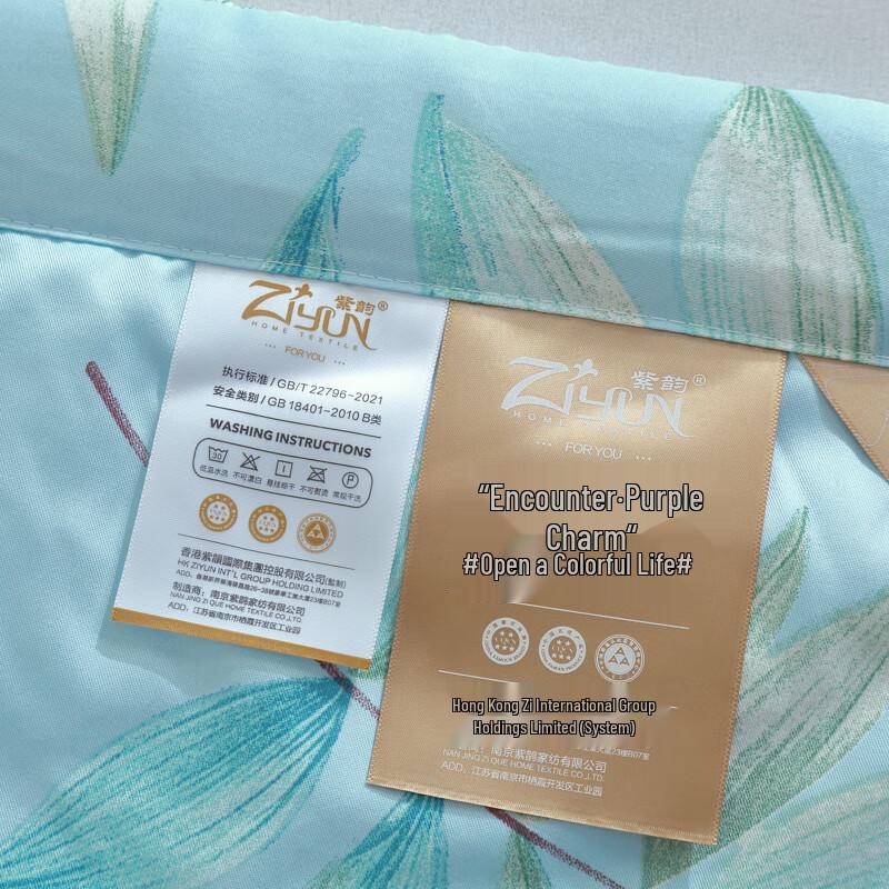Ziyun Ice Silk Summer Quilt