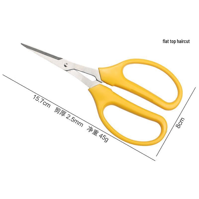 Stainless Steel Sharp Fruit & Berry Shears for Plants & Vegetables