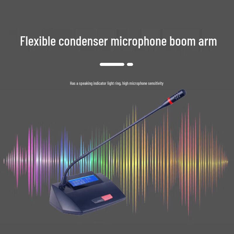 Runpu RP-WX6600E Professional Wireless Conference Microphone System (CN version)